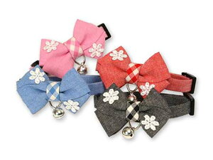 y[2ElR|X3OKzyA[NXzCat Amo.k@[X̉ԁ@J[@SEMTCY@LpisNEu[EbhEubNj