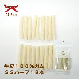 y[8ElR|X16OKzI[V[t@[ @100K@SSTCY@n[t@18{@(ybg///Y)