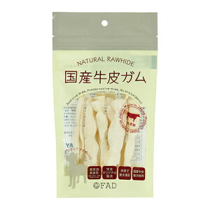 _bhEFCybg@Y@tbg[@̃KuWPv