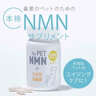 ○【株式会社バリューマーケティング研究所】999　for　PET　NMN　60粒　【犬猫用】「W」