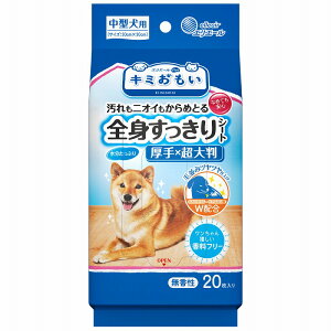 m剤nGG[ L~ SgV[g ^p 20@×唻@EGbgeBbV