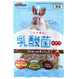 ○【メール便5個・ネコポス6個OK】ドギーマン　ウサギの乳酸菌おやつ カリカリ牧草スナック 40g　　うさぎおやつ