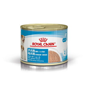 [CJi] TCY wX j[gV EFbg X^[^[[X}U[xr[hbO`2܂ł̎qpi`2܂ŁjꌢpiDP`