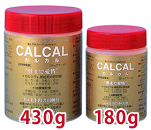 yNjJvV[Y@JJ@430gzbtJTvgBVR̃JVEzAQ̏zIBpTvguNRPWpv