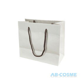 プレゼント用 ギフトラッピング 手提げバッグ無地サンドベージュペーパーバッグ Sサイズ[ ラッピング ] 紙袋