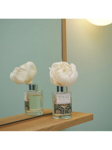 \t[fBt[U[ 100ml collex RbNX CeAEG fBt[U[EEA}ICELh[Rakuten Fashion]