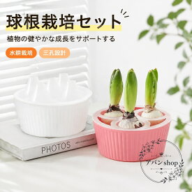 水耕栽培プランター 3穴設計 球根用 PP製 水位確認しやすい 室内水栽培ポット 通気性 排水性 ヒヤシンス チューリップ 水仙対応 窓辺 卓上 観葉植物育成用 花球根栽培 室内ガーデニング用