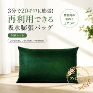 吸水土のう 10枚セット 不織布 水で膨らむ 吸水膨張バッグ 土砂不要 簡易土のう袋 40×60cm グリーン 緊…