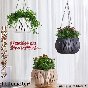 k IV Ǌ| ݂艺 _ v^[ nMOoXPbg ϗtA CeA  O 