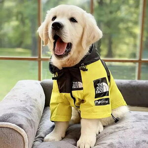 ^^p ybgphJhhWPbgSALEԕis  CR[g  ^ bP h h tu t`uhbO hWPbg hbOEFA