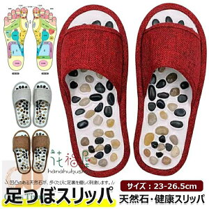 NT_ ڂT_  VR NXbp  Xbp ɋĈxǂ  [V[Y c{T_ c{Xbp c{T_  T