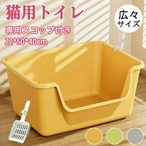 ̔юU юUȂ e  [ 傫 ybggC I[v^Cv J lR ˂ L LbggC LgC