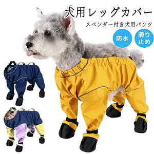 pbOJo[ Xy_[tppc TXy_[thpu[c h ~ EȂ ߉\   Cpc TXy_[t Ol{pc pV[Y 