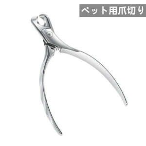 ybgܐ؂ XeX ܐ؂ L ^   ߂ ybg܂ lCPA S  XeX SS g₷