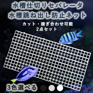 d؂Zp[^ ˏoh~lbg 2_Zbg SzՕt 30cm&15cm  zCg ubN ANAEu Mы t ঒ގ  ӏ XvCX\ g₷