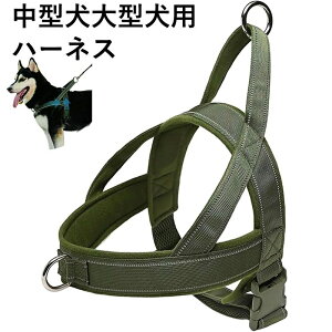  n[lX ^ ^ p pn[lX  ʋC Ȃ h~ ˑf ߉\ U P o|