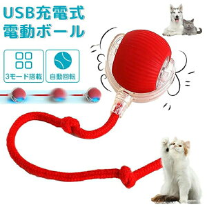 L  d L炵 d {[ lV  lV OȂ  L {[  ] 3[h L d lC X}[g[O USB[d ybg 