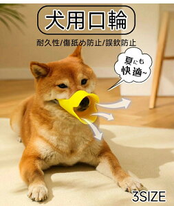 p p y VR^Cv TCY\  obN EȒP ȒP ɂ ċz₷ _炩f S/M/LTCY 5color ݂h~ h~ ʖi 