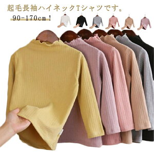 Jbg\[ TVc  H~ nClbN tVc WjA gbvX ^[glbN h Ci[ A_[Vc  ̎q 킢 N qǂ LbY xr[  Jbg\[