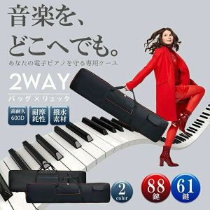 L[{[hP[X 88 61 L[{[hobO dqsAm [P[X V_[obO 61՗p