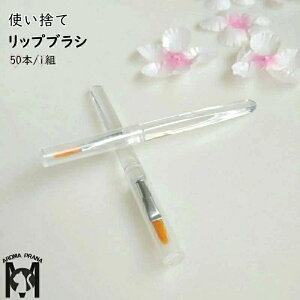 bvuV ĝ  CN Ɩp g eX^[ e gM  eX^[ Ɩp lC A[guV YRX RV[[ ϗp 50{/1g