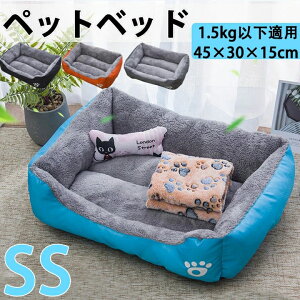 ybgxbh ^ H~p SS ^ p ӂӂ ₷  u[ O[ ybgNbV H ~  ӂӂ xbh ʔN Lpi Q 킢 ӂƂ  􂦂