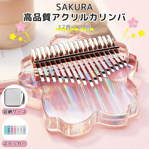 Jo ewsAm y S Zbg 17L[ 21L[  TsAm уsAm AtJy 킢 17 21 wsAm q LbY уsAm t K ̎q L[XebJ