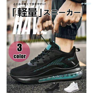 ₷ ʋC X|[c GANbV y ʋ ʊw AEghA ^C L EH[LOV[Y Y Xj[J[