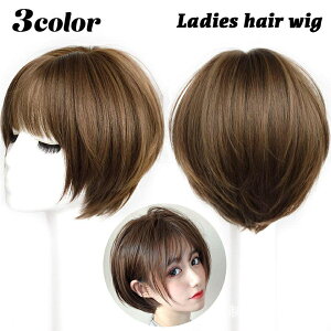 wAEBbO tEBbO fB[X  wAANZT[  V[g {u O y   C`F