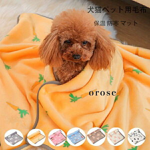 Lybgp ѕz ۉ h }bg NbV A卪AFA ybgp ѕz uPbg Lp }bg q qL ybg g ӂӂ h zc ѕz g RR T