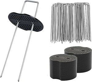 100{Zbg 200{Zbg UsY ەt hV[g V[g Œp s