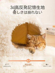 Lxbh LnEX ybgpQ LbgnEX h[^ g ӂӂ Lp p ΍ ۉh Lp p g ~΍ ybgpi~ p 