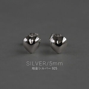 SILVER925 sAX AM[Ή S925 Ղ n[g sAX Iׂ2TCY (5mm/7mm) ␻ Vv l silver925 c ̊ i ؚ Ԃ 傫 Vo[ l B