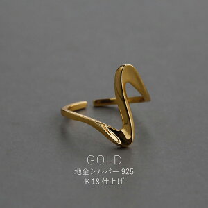 O SILVER925 g jAXCO Vo[925 w AM[Ή fB[X l  Mtg v[g J t[TCY 10 16 ߉\  i J N