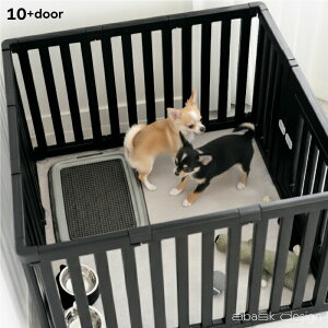 yN[|szybgT[N hAt 60cm ybgP[W Q[W  T[N 􂦂 L p ptFX p  T[N ybgtFX ^ gݗ   