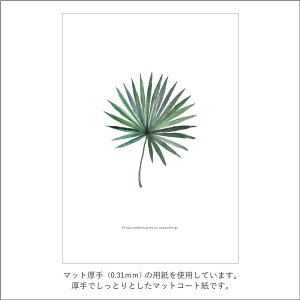 |X^[ A[g|X^[ CeA A4 ART fUC|X^[ |X^[pl z tHgt[ t[ A {^jJ G vg IV Vv ubN zCg ybotanical2