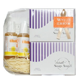 A[e~X\[vGWF Artemis Soap Angel 100g2y΂̂yꂭz2{tLy[i