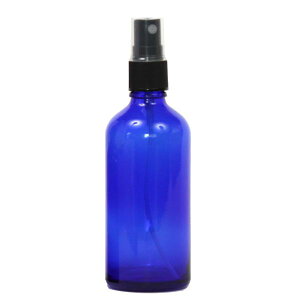 Xv[{g100mLKXr̋e Ռ KXAg}CU[