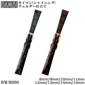 腕時計 ベルト 時計 バンド BAMBI バンビ ワニ カイマン クロコ 8mm 9mm 10mm 11mm 12mm 13mm 14mm 15mm 革 シャイニング つやあり 腕時計ベルト 時計バンド 交換 替えベルト BWB880