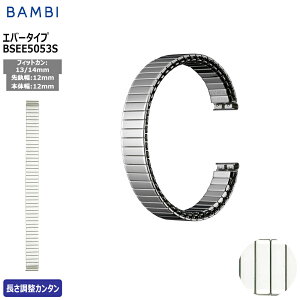 腕時計 ベルト 時計 バンド ステンレス メタルベルト BAMBI バンビ シルバー 伸縮 エバーベルト 12mm 13mm 14mm 金属 メタル ブレス 交換 替えベルト BSEE5053S