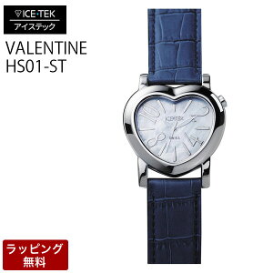 �y23��20������|�C���g2�{�z �A�C�X�e�b�N ���v ICETEK ���� �r���v ICE TEK �A�C�X�e�b�N ���f�B�[�X�r���v �y������ϕs�z Steel Valentine �X�`�[�� �o�����^�C�� HS01-ST/2M