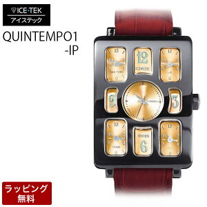 �y4��20������|�C���g5�{�z �A�C�X�e�b�N ���v ICETEK ���� �r���v ICE TEK �A�C�X�e�b�N �����Y�r���v �y������ϕs�z Black IP Quintempo1 �u���b�N ��IP �N�C���e���|1 �S�[���h 5TZ1-IP/7