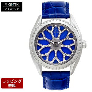 �y4��20������|�C���g5�{�z �A�C�X�e�b�N ���v ICETEK ���� �r���v ICE TEK �A�C�X�e�b�N �����Y�r���v �y������ϕs�z Spinner1.01 �X�s���i�[1.01 SW1-01-ST43