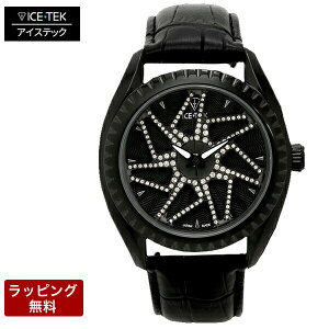 �A�C�X�e�b�N ���v ICETEK ���� �r���v ICE TEK �A�C�X�e�b�N �����Y�r���v �y������ϕs�z Spinner1.02 �X�s���i�[1.02 SW1-02-IP/11
