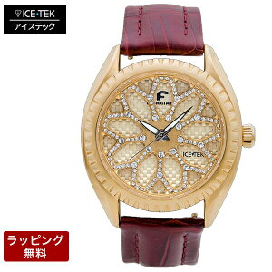 ACXebN v ICETEK  rv ICE TEK ACXebN Yrv yϕsz Spinner SWFV[Y Xsi[SWF SWF1-GL77