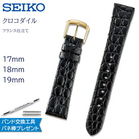 腕時計 ベルト 時計 バンド SEIKO セイコー 純正 ワニ クロコダイル 17mm 18mm 19mm 革 革ベルト 腕時計ベルト 時計バンド 交換 替えベルト DA07 DA08 DA09
