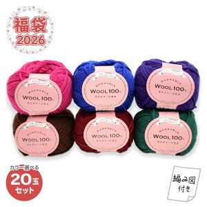 yVt2026NABCNtg܁zю DARUMA J[Iׂ!  􂦂E[100 20ʃZbg ҂ݐ}t