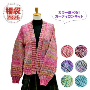 yVt2026NABCNtg܁zю Cp J[Iׂ! V\ŕ҂ J[fBKLbg