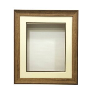 Vh[{bNXpz 8×10C`TCY F-17 I[N