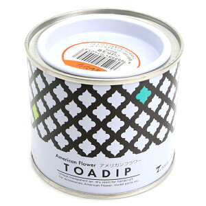 fBbvA[g AJt[ fBbvt160ml no-10 IW